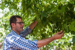 davide-in-vigna